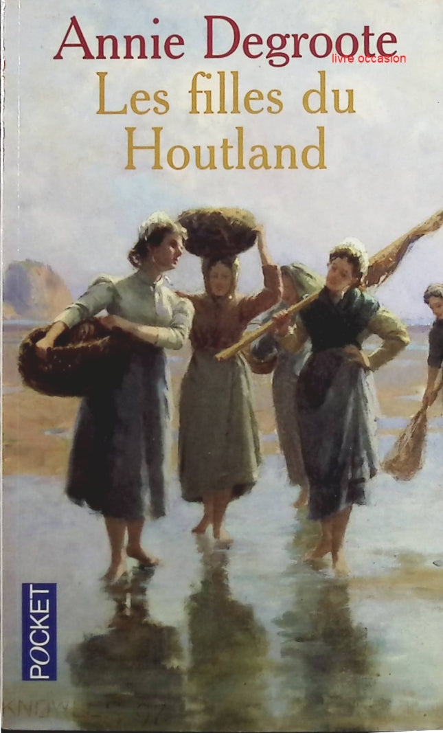 Les Filles du Houtland - Annie Degroote - Livre