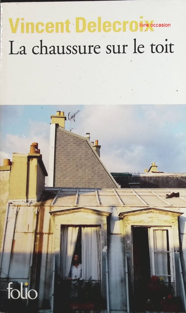 La chaussure sur le toit - Vincent Delecroix - Livre