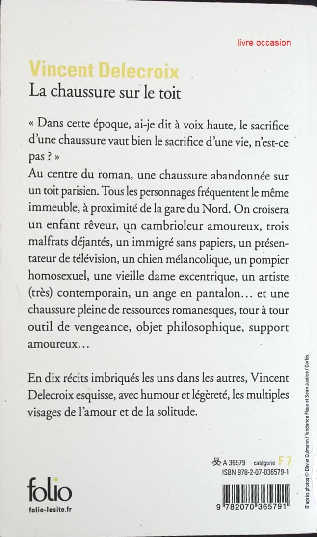 La chaussure sur le toit - Vincent Delecroix - Livre