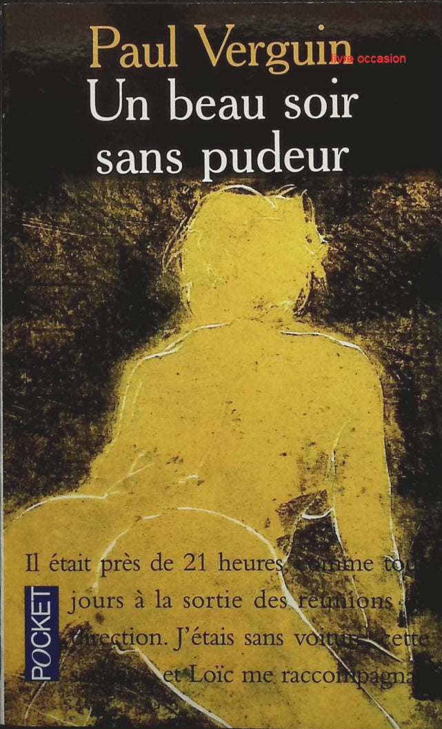 Un beau soir sans pudeur - Paul Verguin - livre