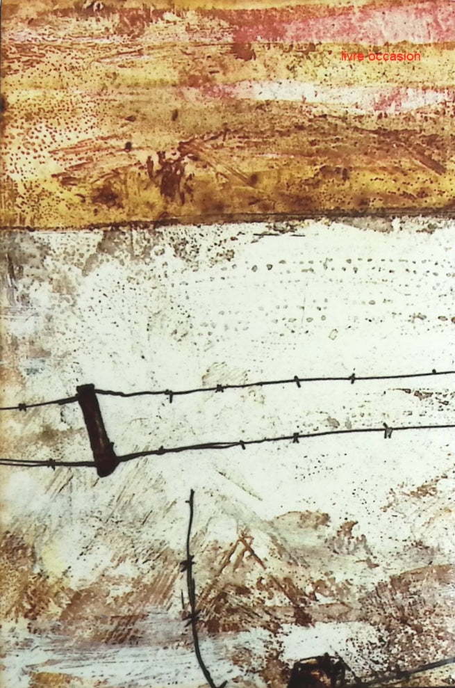 La grande permission - Ernst Wiechert - Livre