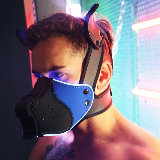 Masque Poundtown Pup Breedwell Noir-Bleu