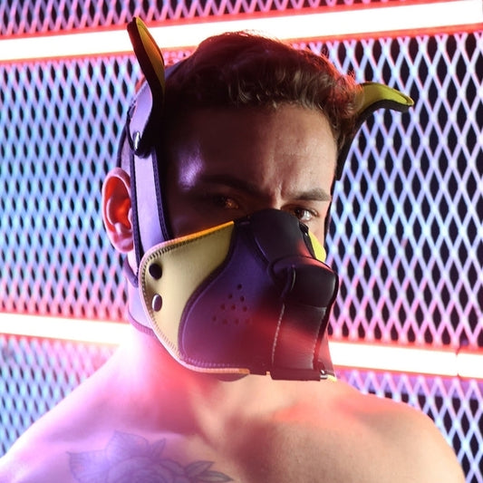 Masque Poundtown Pup Breedwell Noir-Jaune