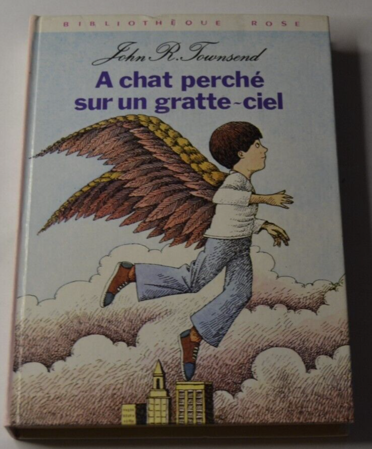 A chat perché sur un gratte-ciel - J.R. townsend - livre jeunesse