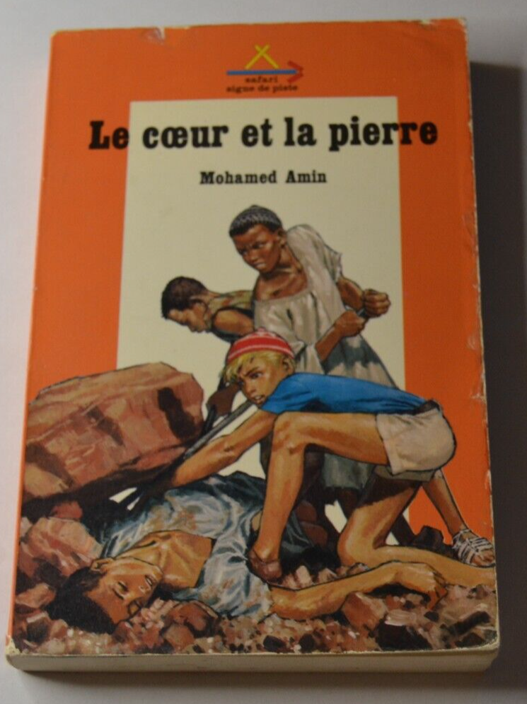 Le coeur et la pierre - Mohamed Amin - livre