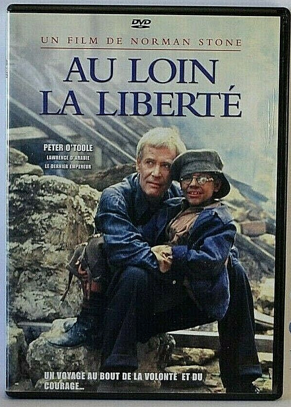 dvd - Au loin la liberté - guerre - historique